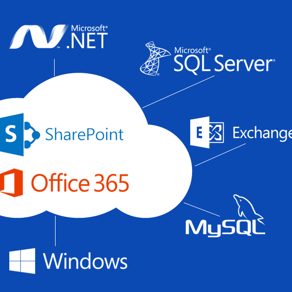 MS SharePoint