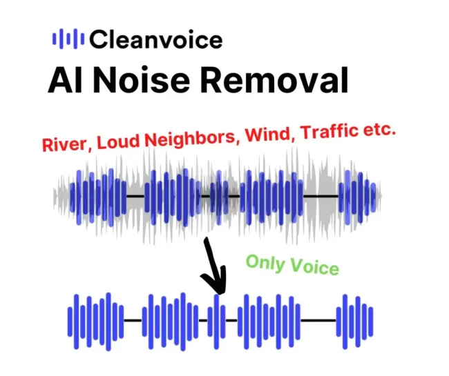 cleanvoice-Cleanvoice-3
