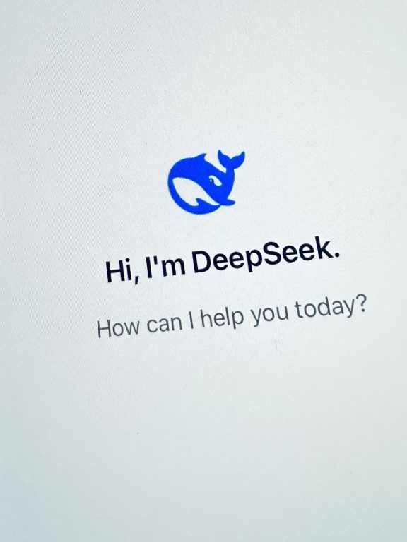 deepseek-ai