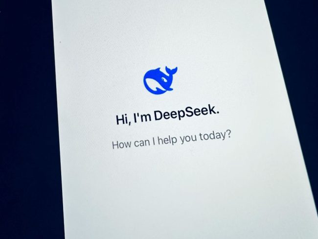 deepseek-ai
